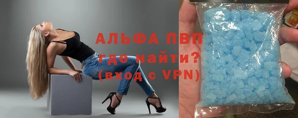 сатива Аркадак