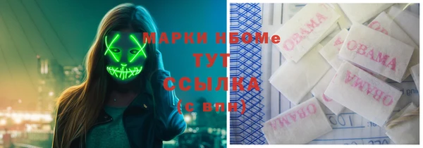 сатива Аркадак