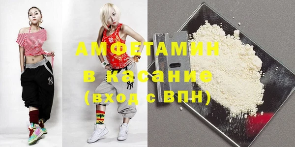 сатива Аркадак