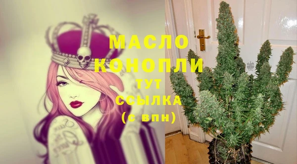 сатива Аркадак