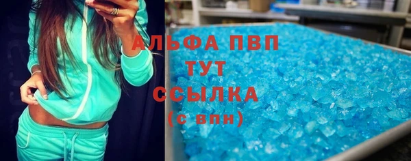 сатива Аркадак