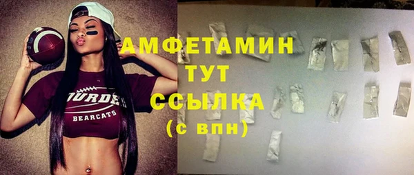 сатива Аркадак