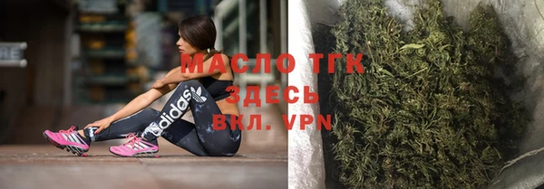 сатива Аркадак