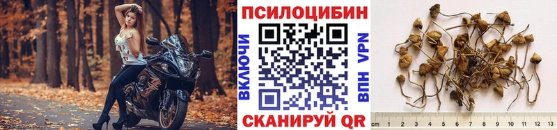 ОМГ ОМГ сайт  Певек  Галлюциногенные грибы ЛСД  наркота 